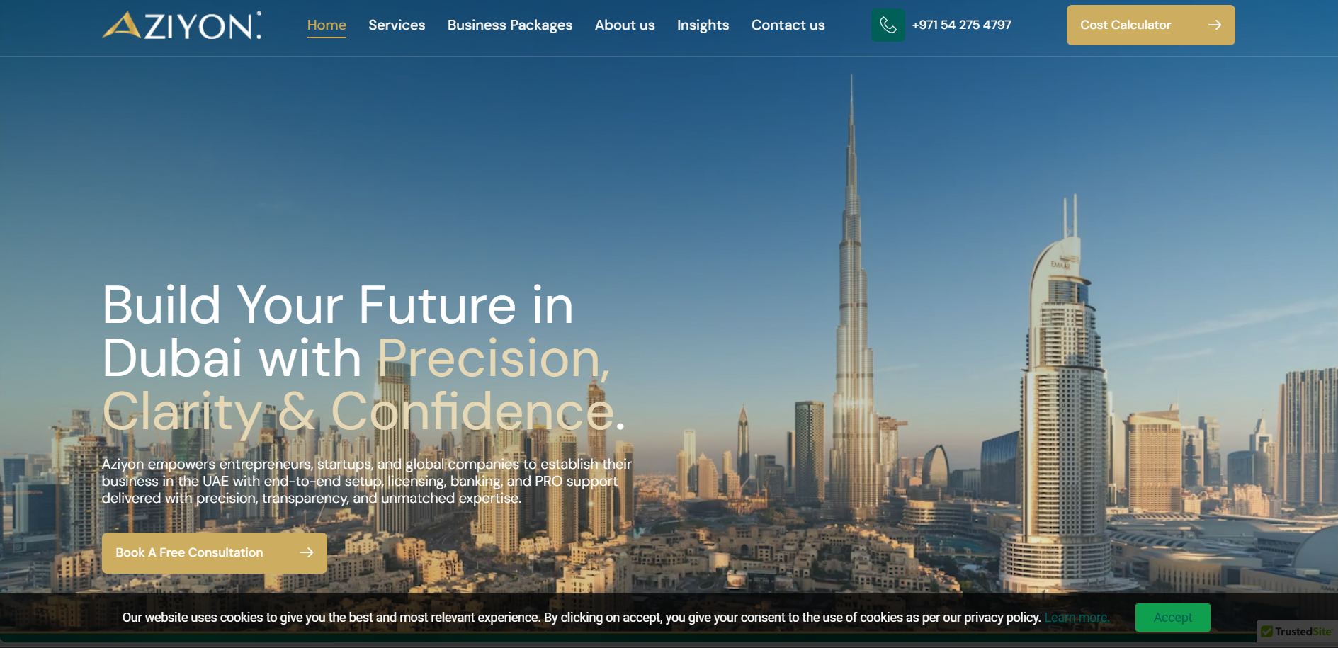 Aziyon – Business Setup Website, SEO and DigitalMarketing Project